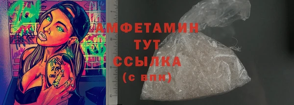 стаф Бородино