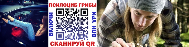 Псилоцибиновые грибы Psilocybe  мега   Цоци-Юрт 