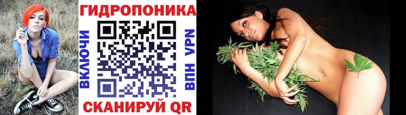 Бошки Шишки планчик  Цоци-Юрт 